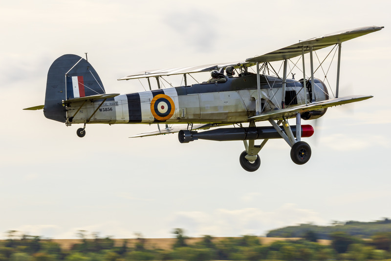 _MG_6439 - Swordfish