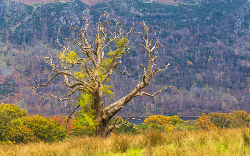 _MG_0034 - The Lake District