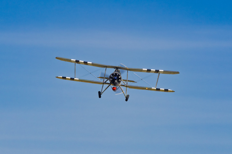 _MG_0512 - Swordfish