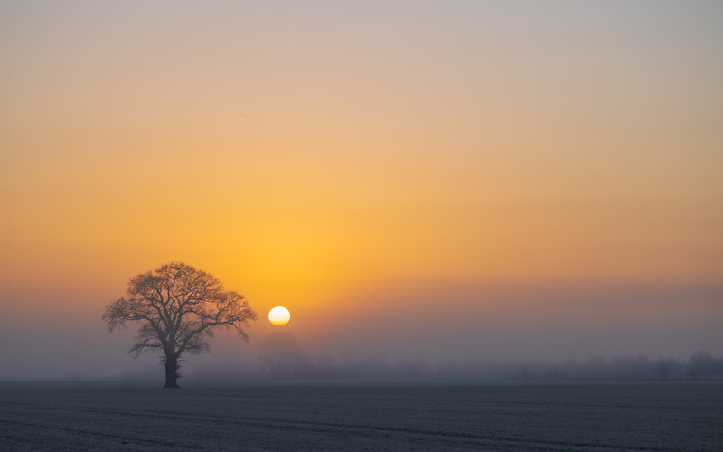 _MG_3181 - Lincolnshire