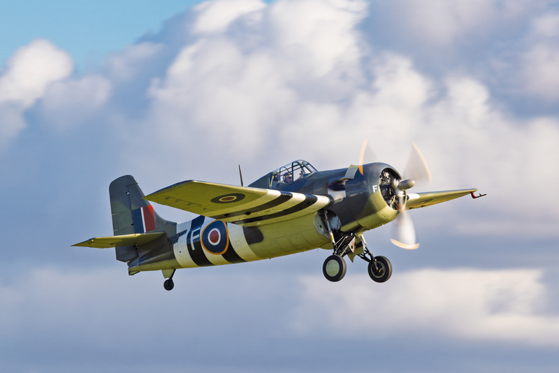_MG_1243 - Wildcat