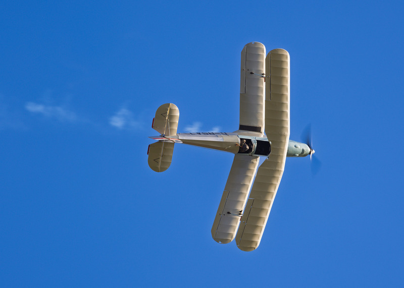 _MG_9673 - Jungmann