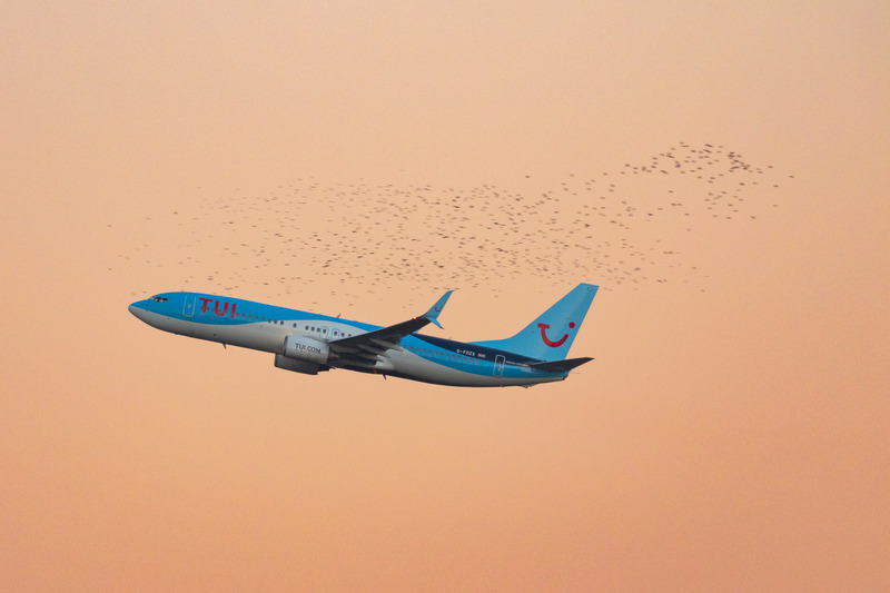 _MG_8661 - TUI