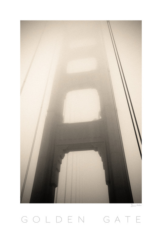 _MG_4372_border - California