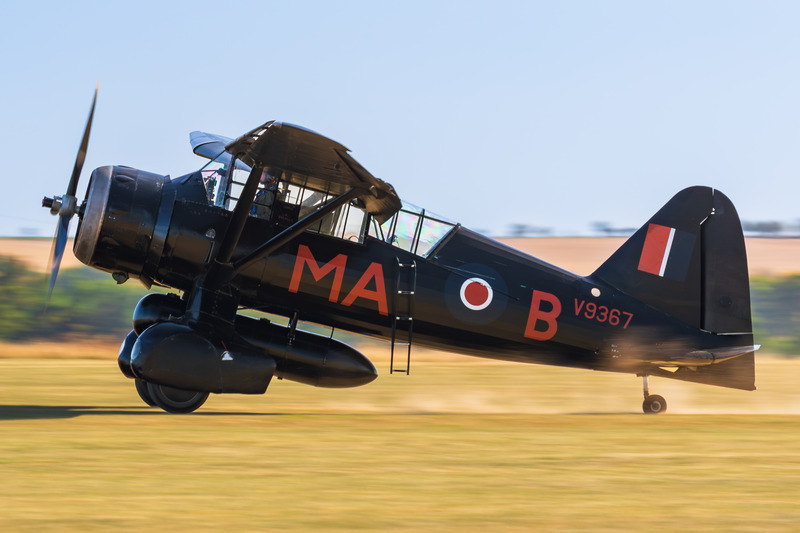 _MG_4497 - Lysander