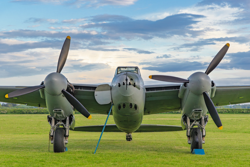_MG_9562 - Mosquito
