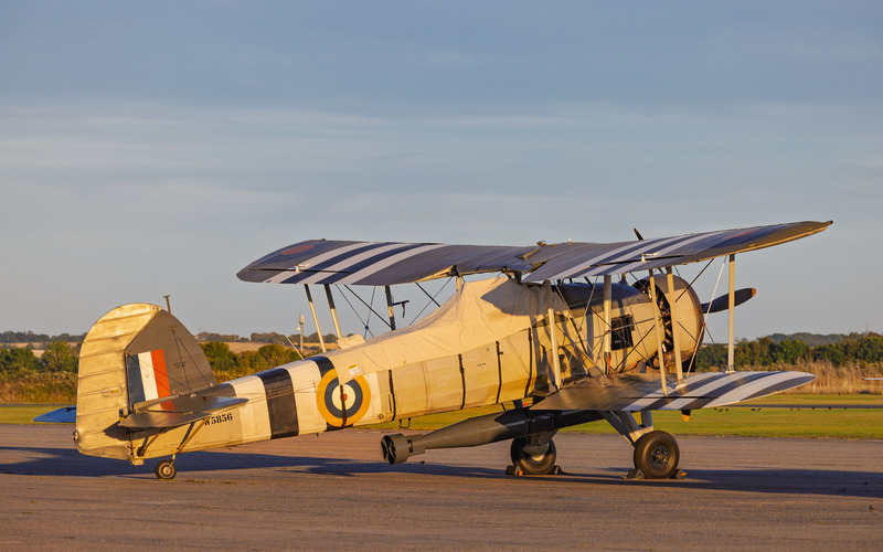_MG_5910 - Swordfish