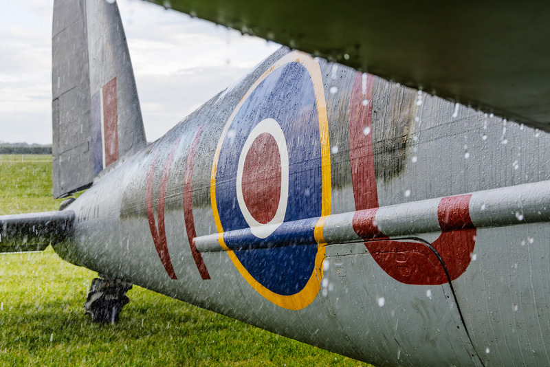 _MG_9529 - Mosquito