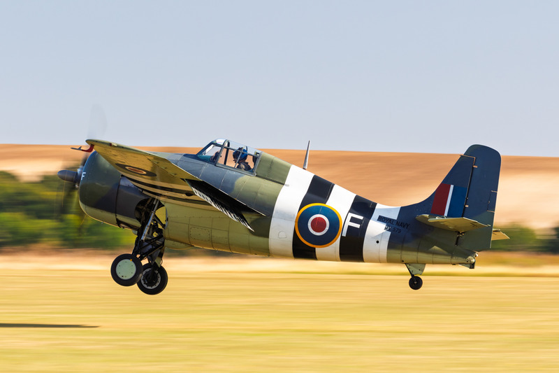 _MG_4891 - Wildcat