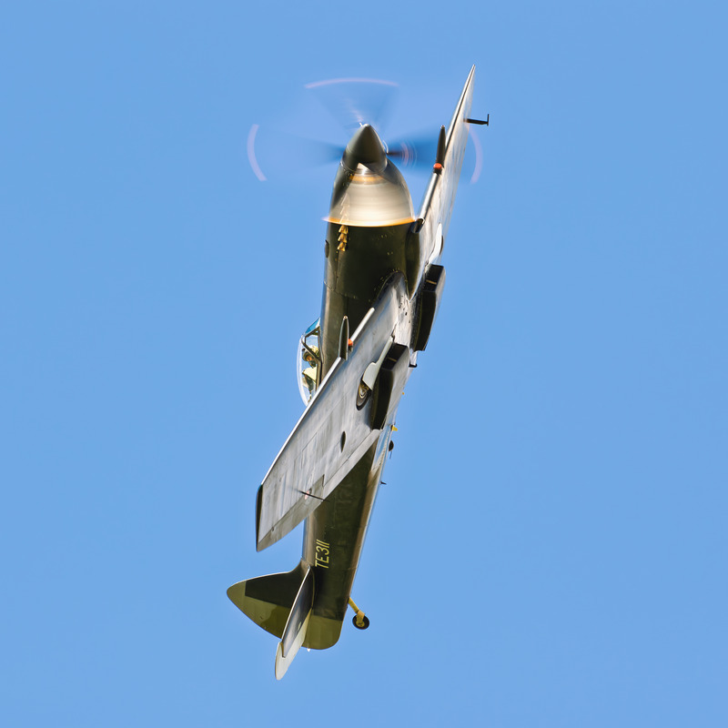 _MG_0782 - Spitfire