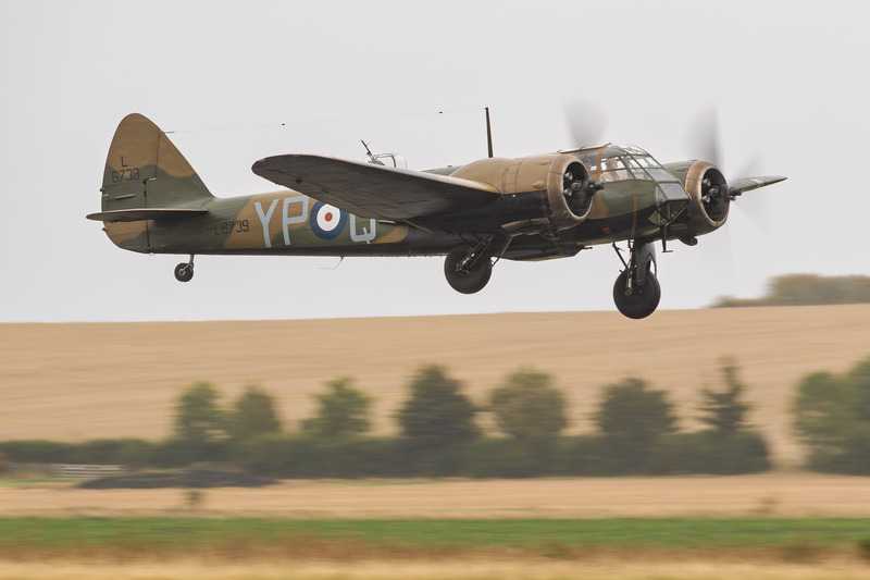 _MG_9422 - Blenheim