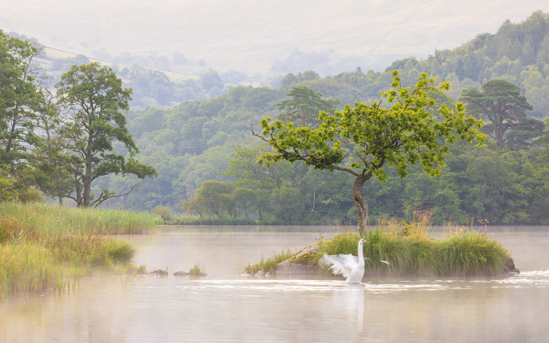 _MG_8896 - The Lake District