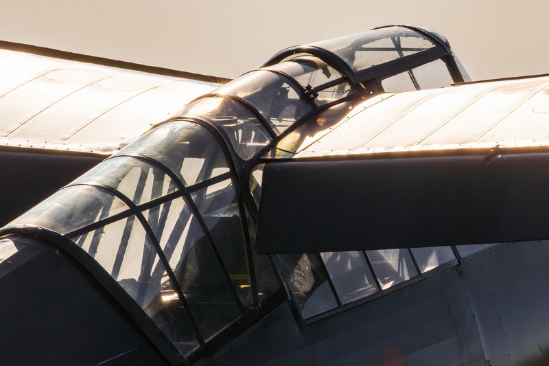 _MG_1399 - Lysander