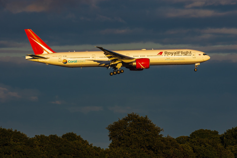 _MG_8724 - Royal Flight