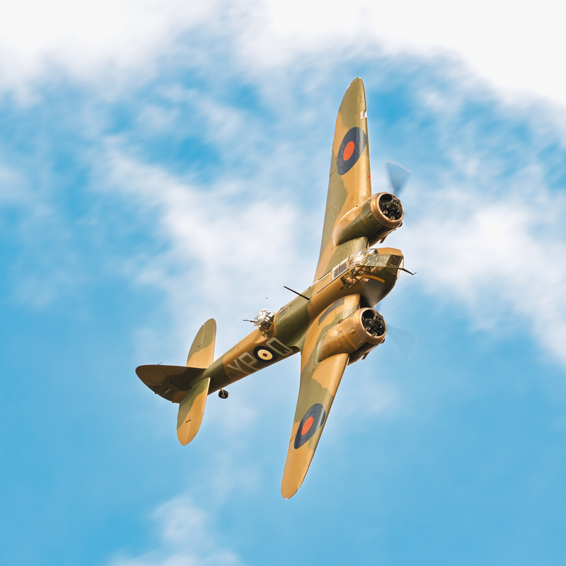 _MG_2506 - Blenheim