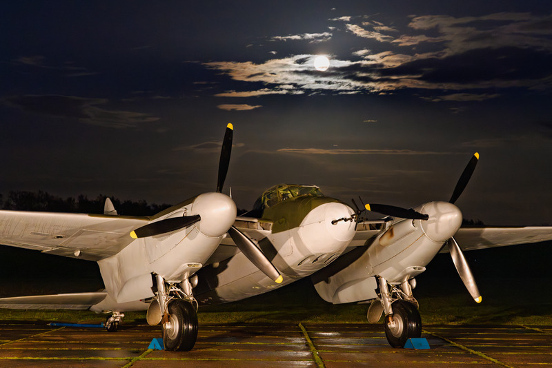 _MG_9776 - Mosquito