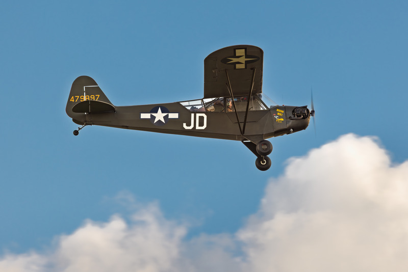 _MG_0703 2 - Cub