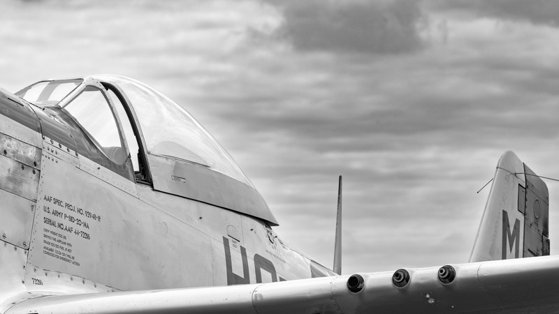 _MG_8959 - Mustang