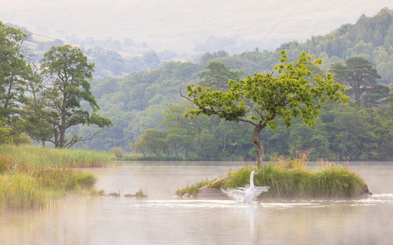_MG_8895 - The Lake District
