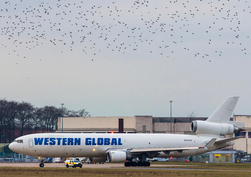 _MG_7604 - Western Global Airlines