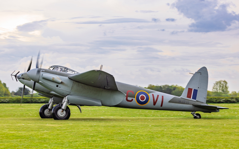_MG_9318 - Mosquito