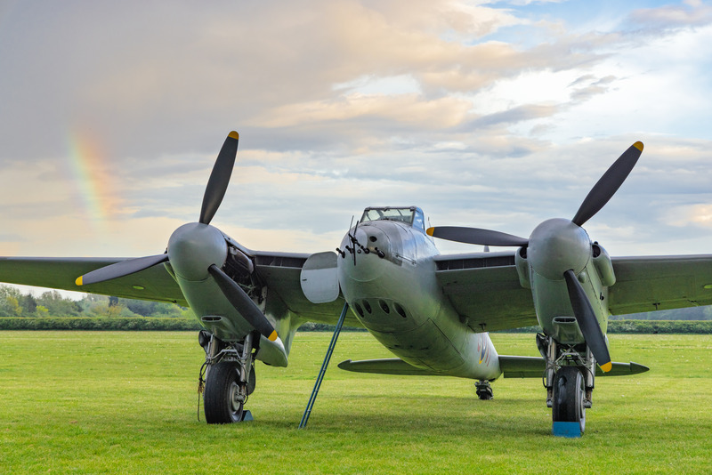 _MG_9510 - Mosquito
