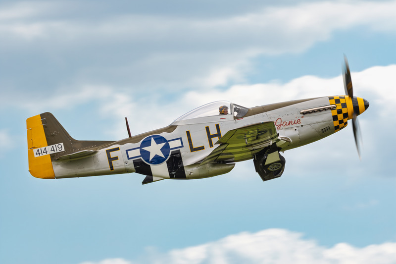 _MG_3097 - Mustang
