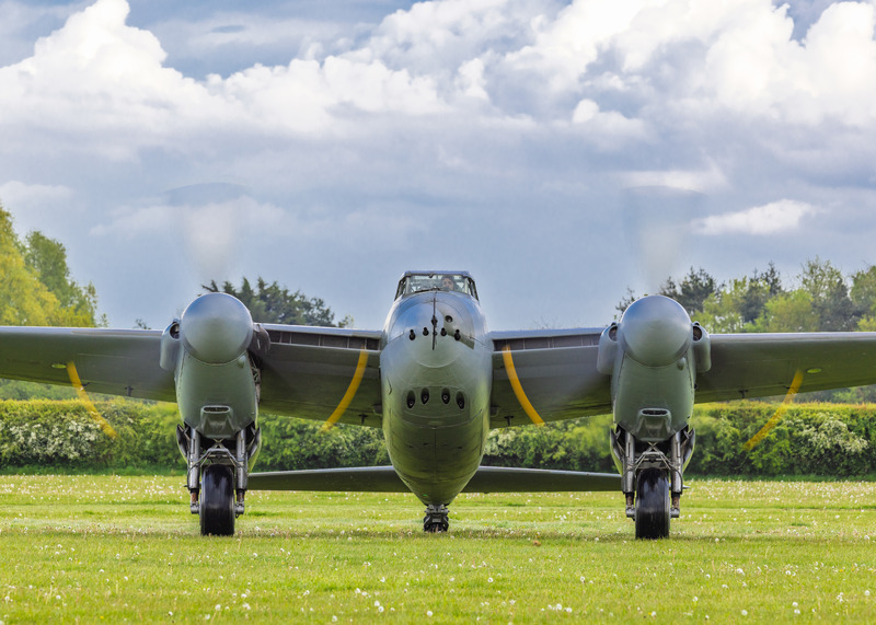 _MG_9198 - Mosquito