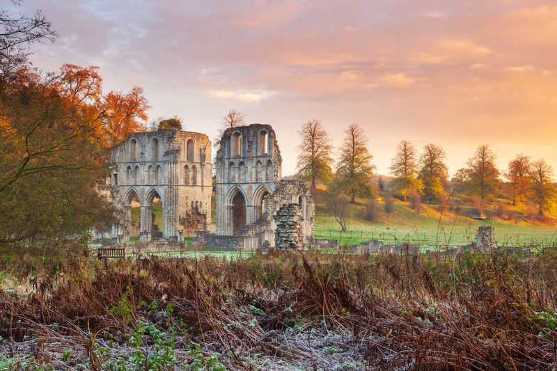 _MG_5436 - Yorkshire