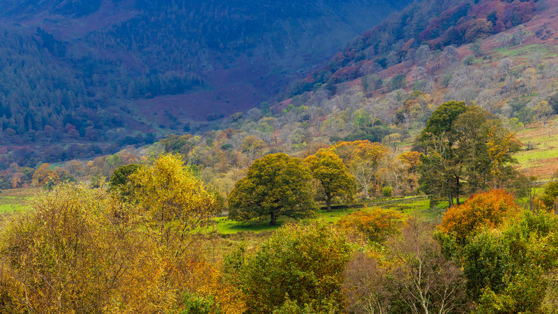 _MG_9974 - The Lake District
