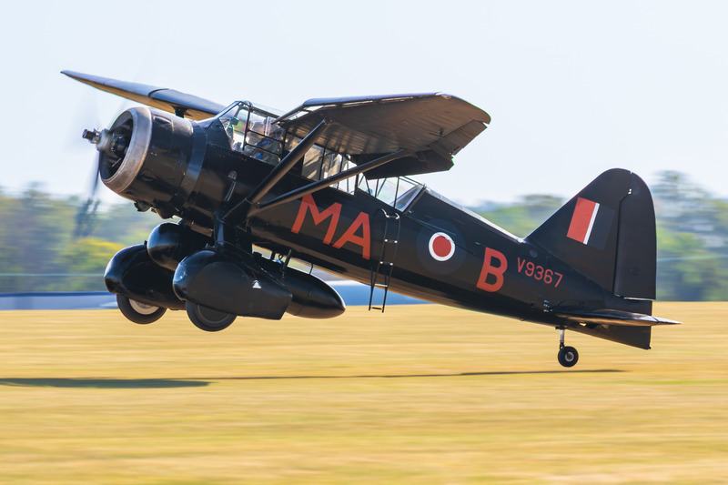_MG_4474 - Lysander