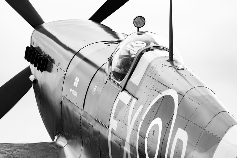 _MG_5231 - Spitfire