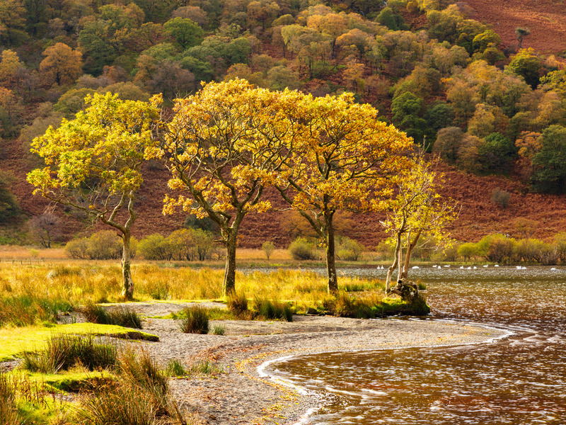 _MG_0268 - The Lake District