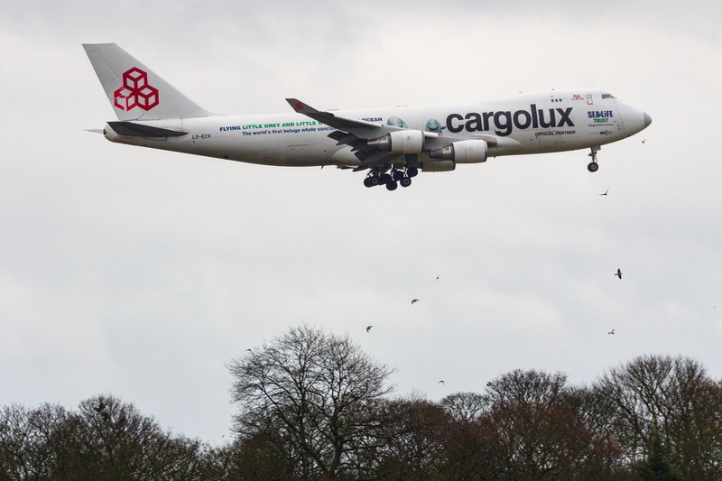 _MG_5340 - Cargolux