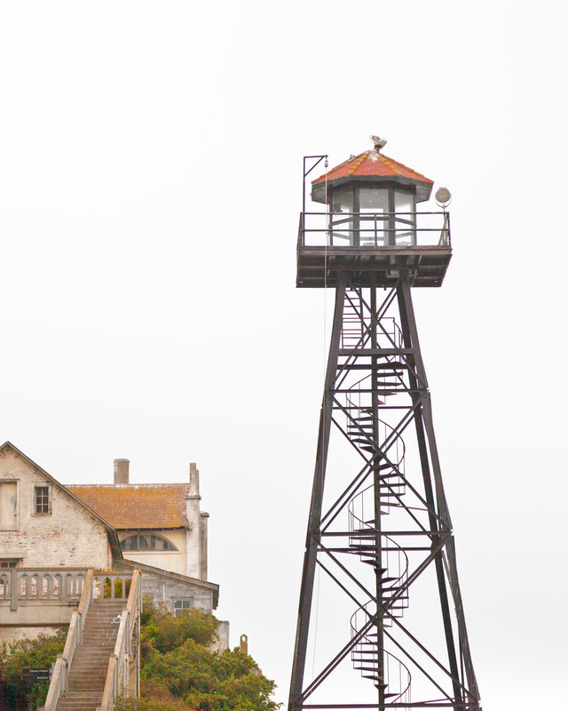_MG_4539 - California