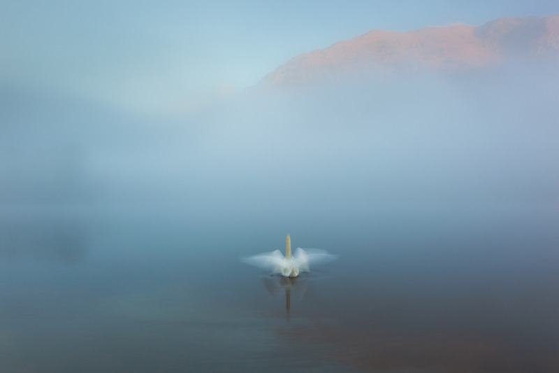 _MG_4677 - The Lake District