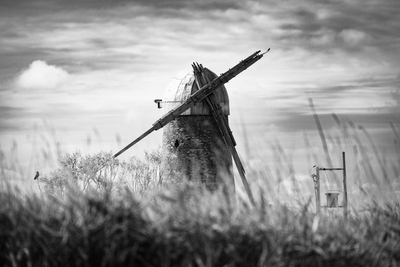 _MG_6986 - The Norfolk Broads