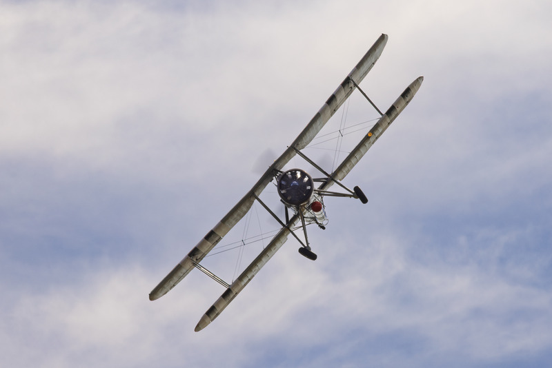 _MG_0490 - Swordfish