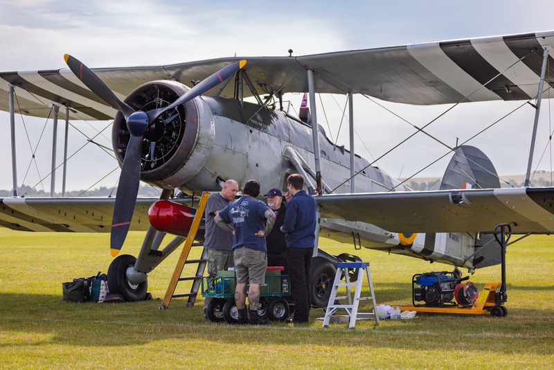 _MG_6086 - Swordfish