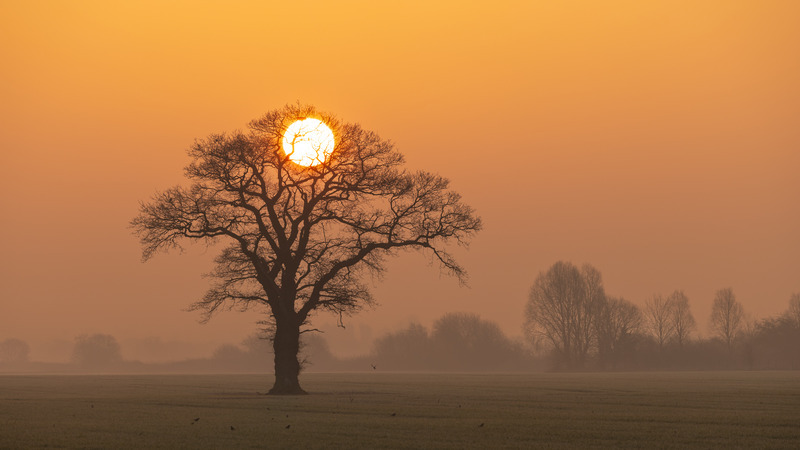 _MG_7092 - Lincolnshire