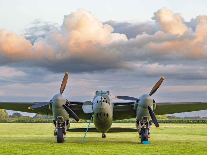 _MG_9732 - Mosquito