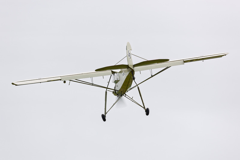 _MG_9522 - Storch