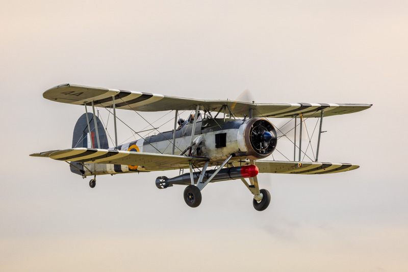 _MG_6413 - Swordfish