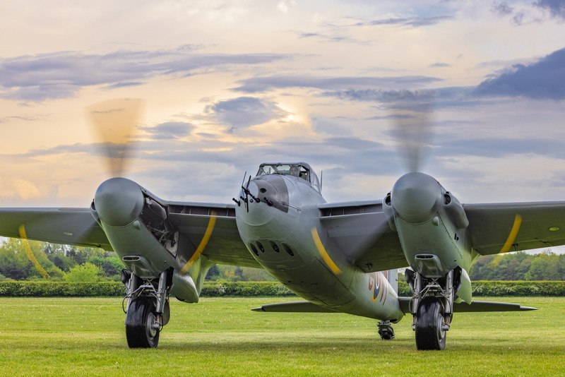 _MG_9434 - Mosquito