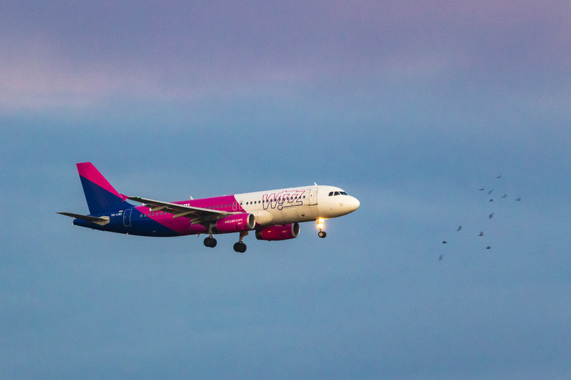 _MG_3915 - Wizz Air