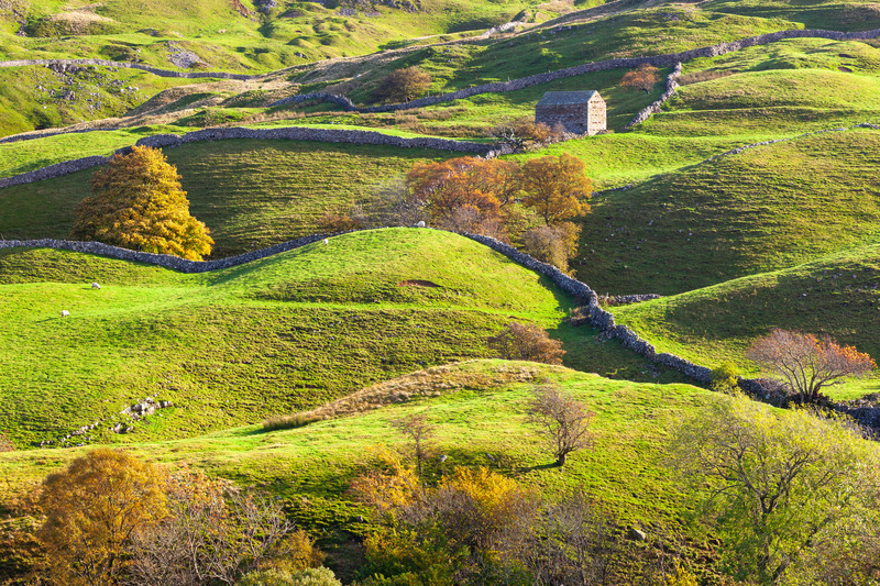 _MG_1852 - Yorkshire