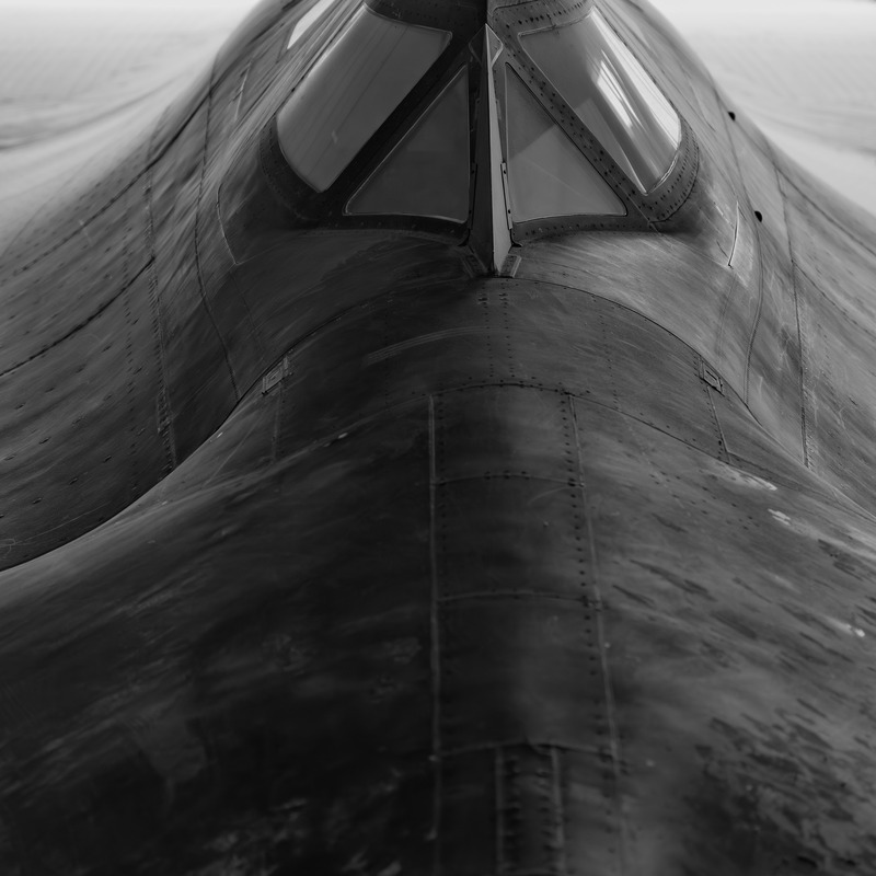 _MG_6080 - Blackbird