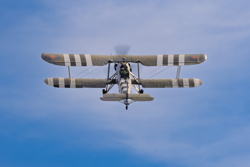 _MG_0452 - Swordfish