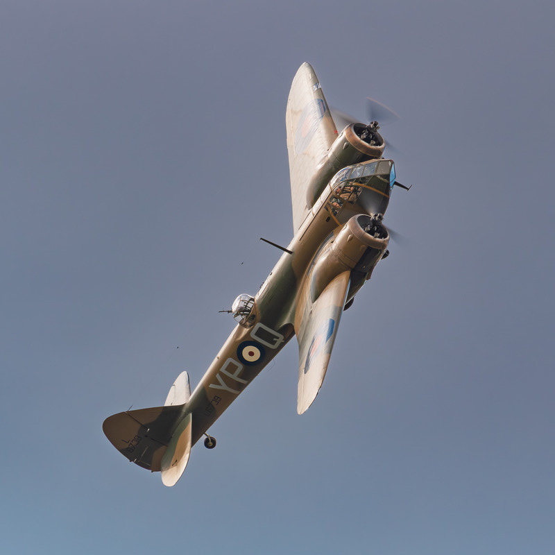 _MG_2336 - Blenheim