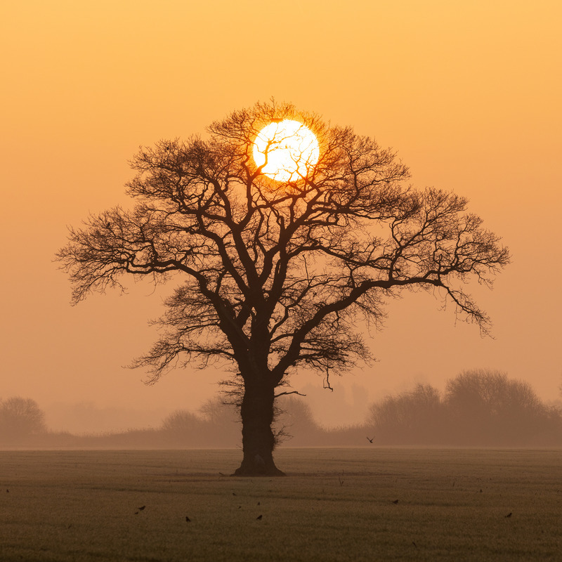 _MG_7092-2 - Lincolnshire